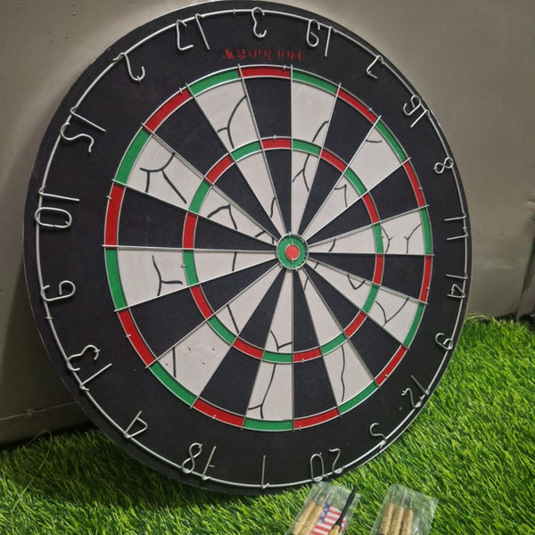 Professional Dart Board